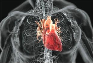 Srdečně-cévní onemocnění